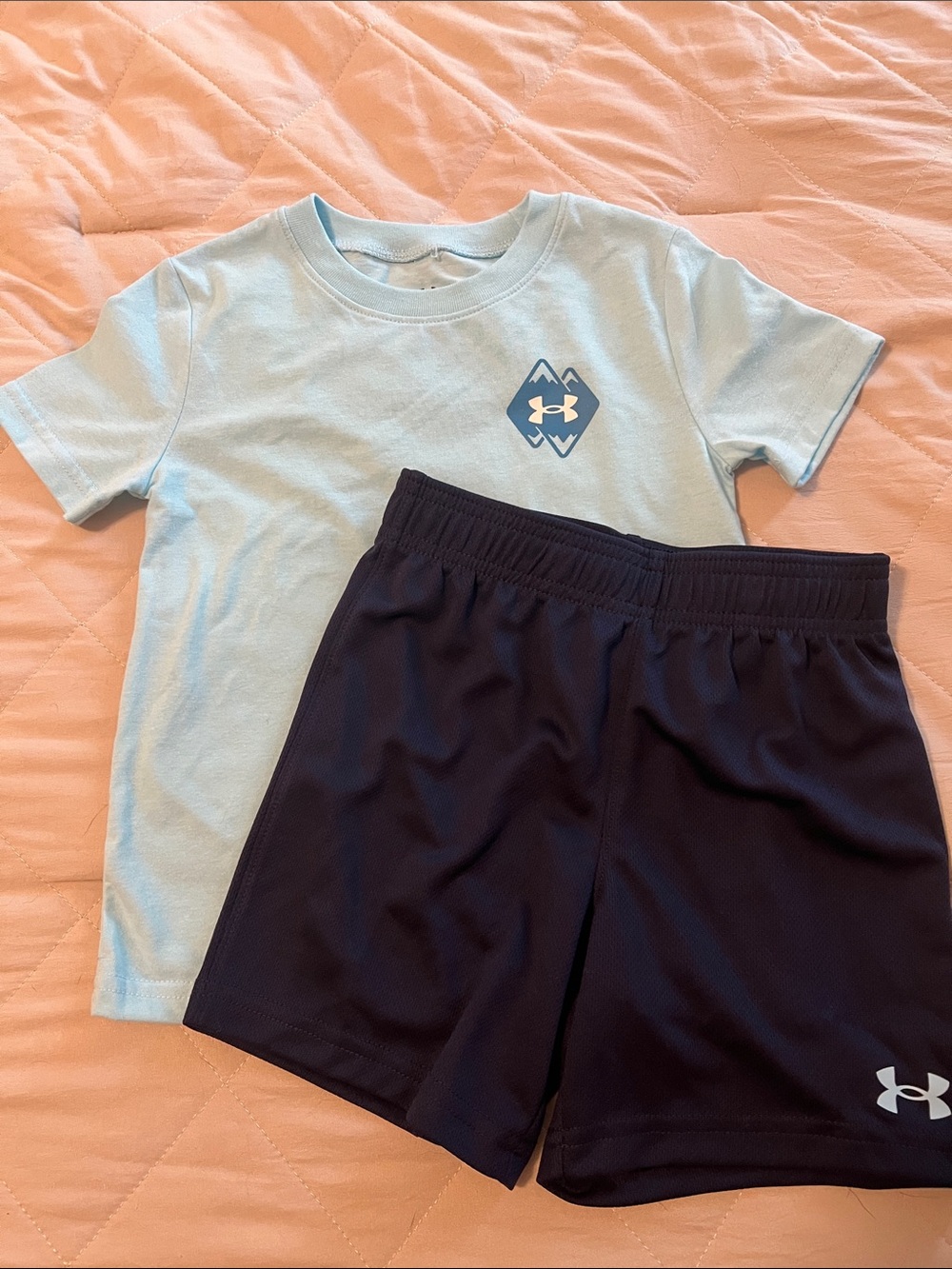 Under Armour Light Blue Tee with Navy Athletic Shorts
